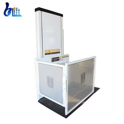 250kg Two People Home Use Passenger Elevator Electric Stair Lift