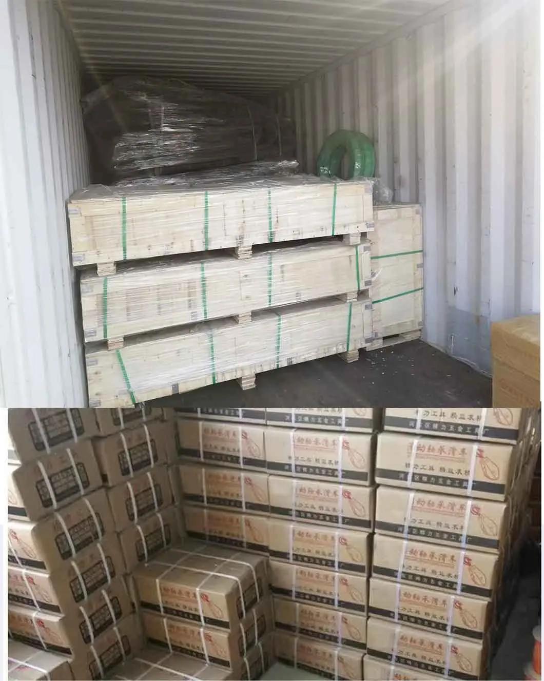 High Quality 1ton 2ton 3ton 5ton 10ton 3meters Hand Manual Chain Pulley Block with TUV Certificate