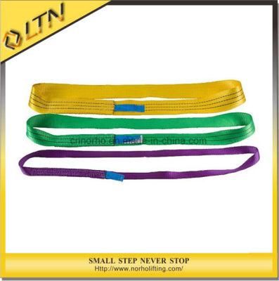 Safety Factor 6: 1 Polyester Wowen Flat Webbing Sling (NHWS-B)