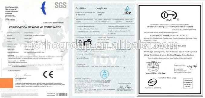 0.5-10 Ton High Quality Electric Wire Rope Hoist (CD1)