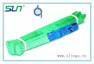 2018 5300lbs Polyester Round Slings in Wstda Standard