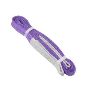 Purple Color 1t Flat Belt Webbing Lifting Sling