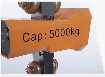 Digital 5ton Electric Weight High Quality Low Price New Model Scale Crane with Hook