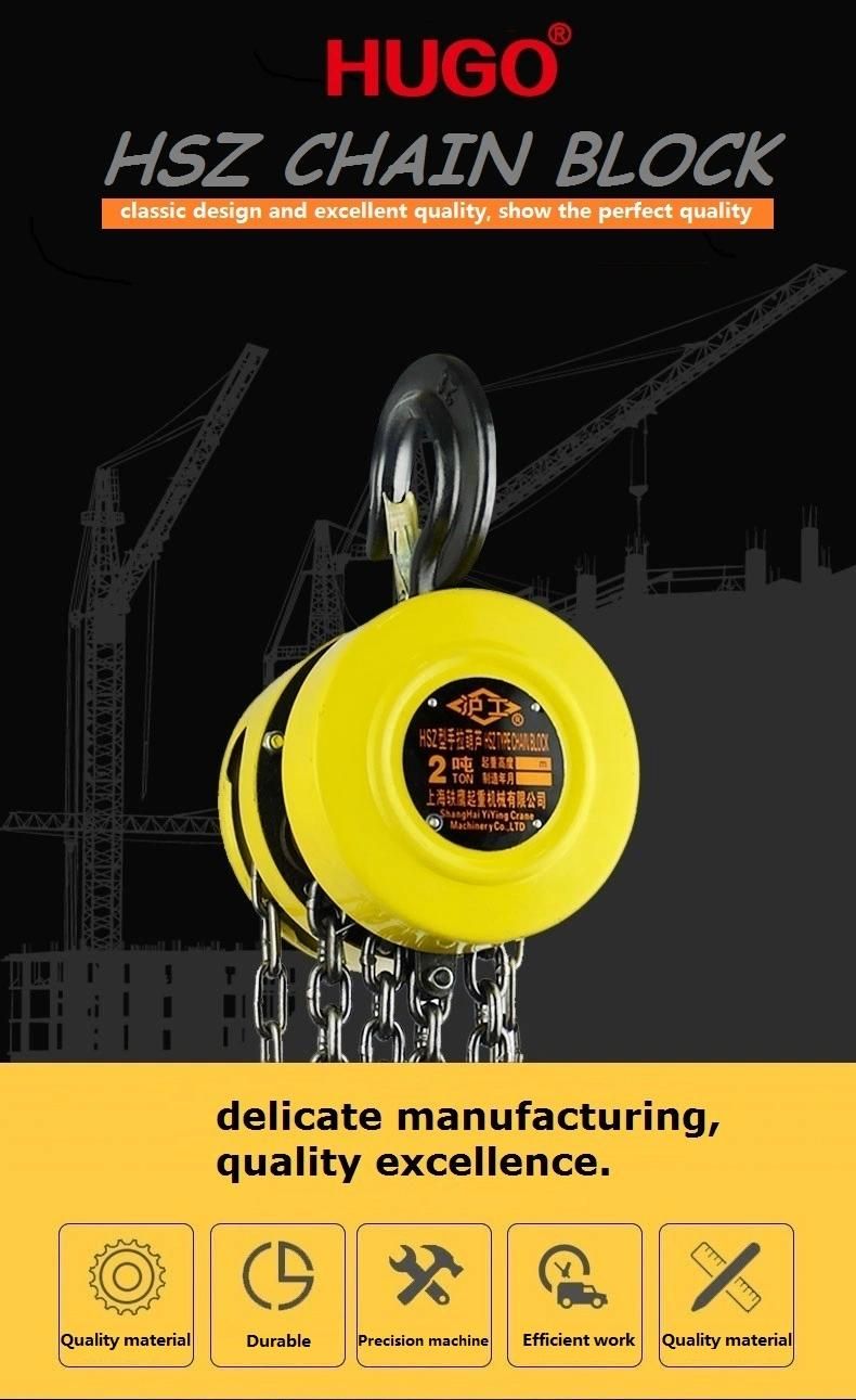 Best Quality Crane Hoist Lifting Equipment Hsz Type
