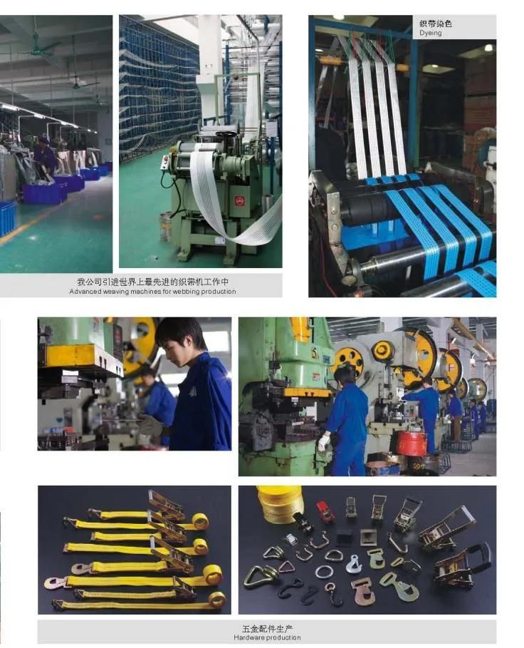 JF Wholesale 1t~12t 7: 1 Webbing Hoist Lifting Belt Sling Standard En 1492-1: 2000+A1: 2008