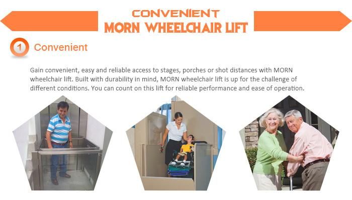 4m Hydraulic Vertical Electric Wheelchair Lifts for Elder or Wheelchair Users