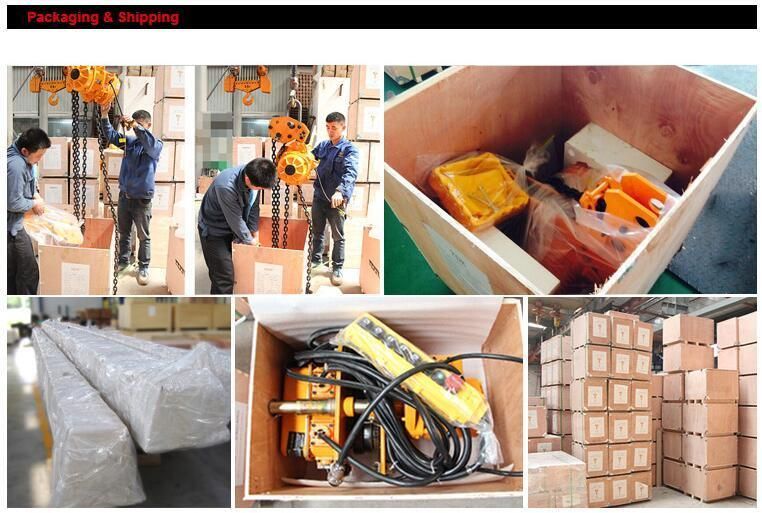 Remote Control 500kg Mini Electric Chain Hoist for Best Sale