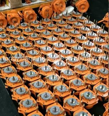 Vital Chain Hoist 1 Ton 3 Meters Manual Chain Hoist
