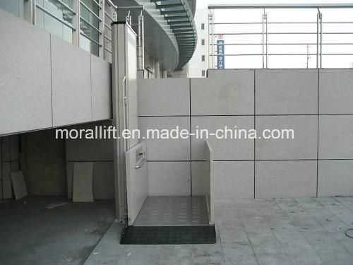 Hydraulic for Home wheelchair Lift with CE Certificated