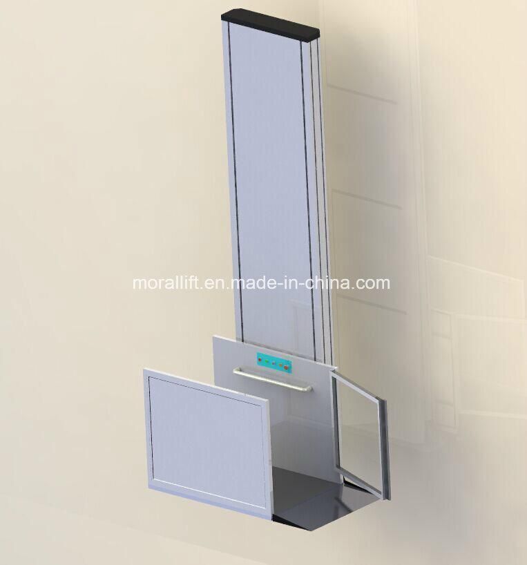 Outdoor Barrier-Free Wheelchair Lift (VWL)