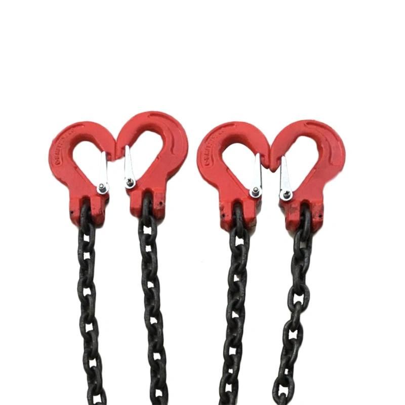 Rugged Lifting Multi Legs Chain Sling with Sling Hooks