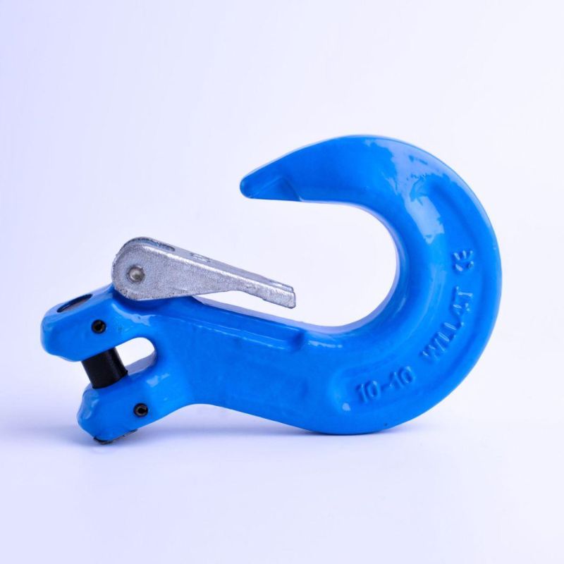 G100 Eye Sling Hook with Latch