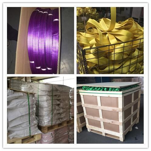 8t High Tenacity Polyester Sling Webbing Lifting Belt Webbing