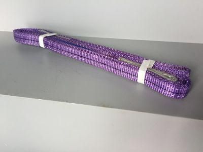 Size 1&quot; High Quality Webbing Sling&Lifting Sling