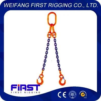 Two Legs Chain Sling with Master Link G80 Clevis Hook