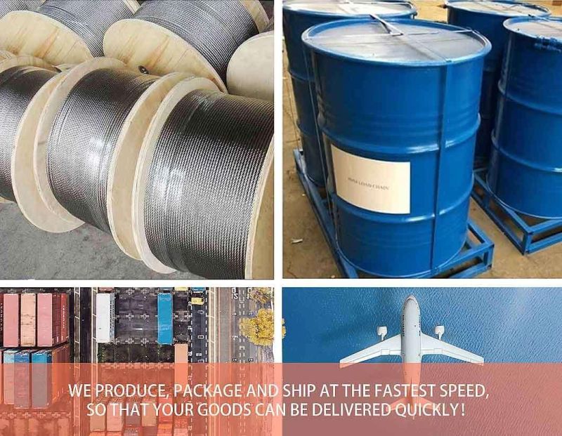 En1492 3t Polyester Webbing Lifting Sling for Lashing and Lifting