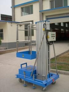 Load 100kg Light and Beauty Home Elevator for Person