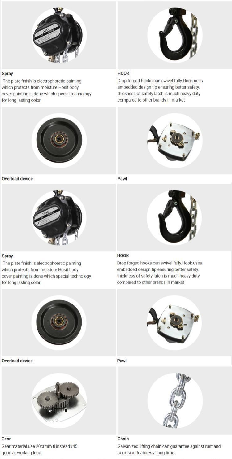 Manual Chain Hoist 1t Hand Chain Hoist Durable Chain Block Model Df-1tb