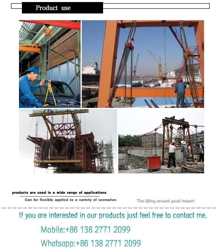 3 Ton Lifting Hoist Construction Hoist Lifting Machinery