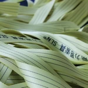 2018 En1492 3t Polyester Webbing with GS Certificate