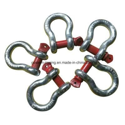 Steel Bow Shackle for Hardware Lifting with Manufacturing Price
