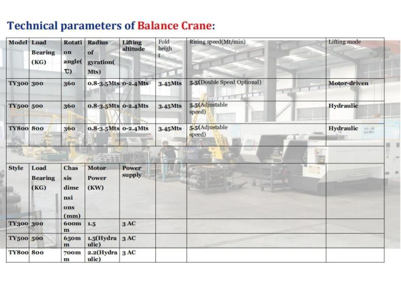 China Workshop Mini 300kg 500kg 800kg Crane Balance Crane Manufacturer