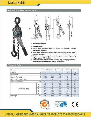 0.25t to 5t Chain Hoist Pulley