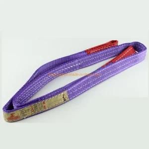Color Code Webbing Sling/ Lifting Sling with Flat Eye 1t*1m