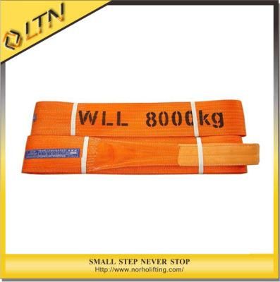 100% Polyester for Lifting Flat Webbing Sling (NHWS-B)