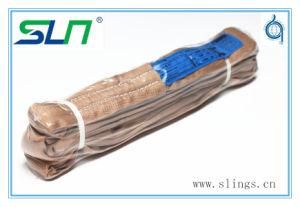 2018 Wstda 100% Polyester Round Sling (W. L. L. 16800LBS)