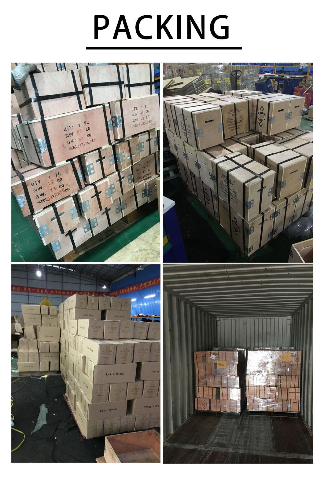 2 Ton Manual Chain Block 3 Meters Hand Chain Block 10 Ton Chain Block