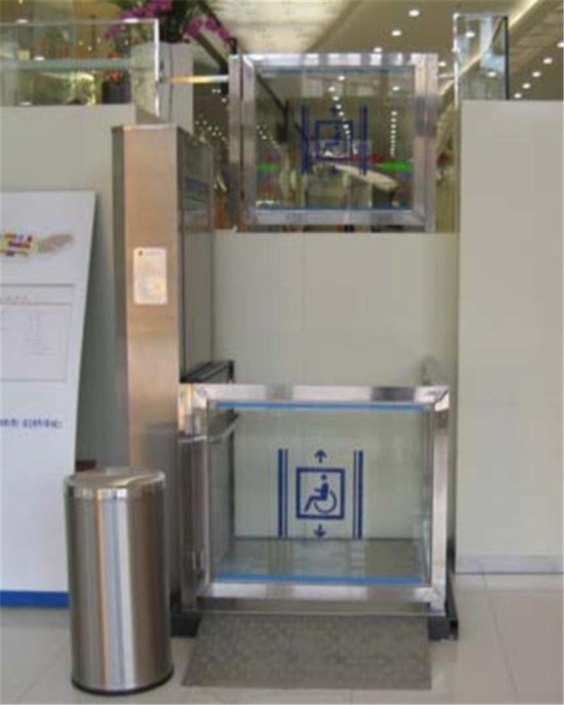 CE Approval Vertical Platform Lift for Home