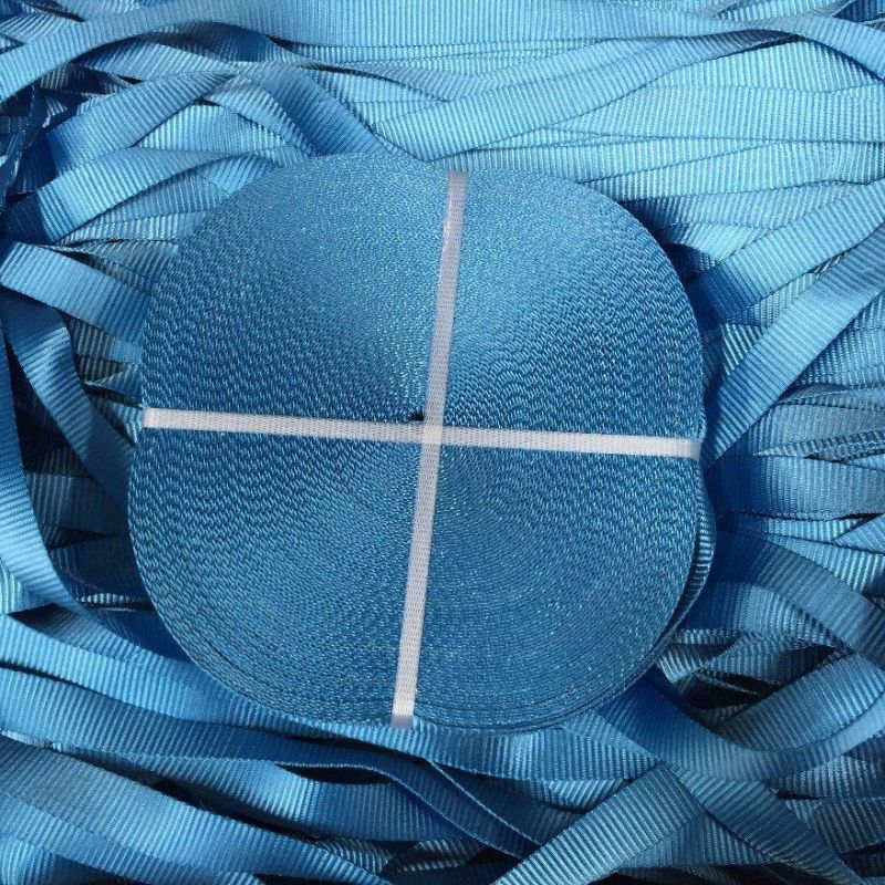 High Tenacity Polyester Webbing Sling Material