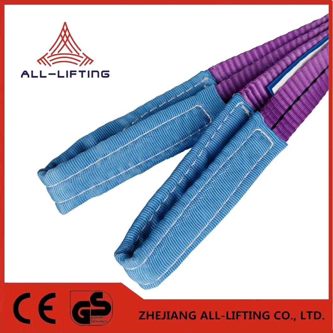2 Ply Eye-Eye Polyester Webbing Sling 30mm 1ton Purple