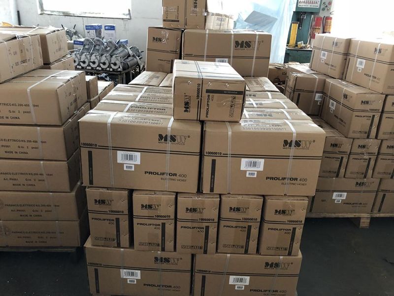 CE Certifiate High Quality PA Type Mini Electric Wire Rope Hoist and Chain Block and Electric Chain Hoist