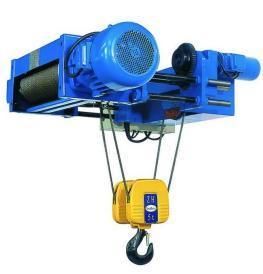 Heavy Duty Single/Double Speed Low Clearance Electric Hoist