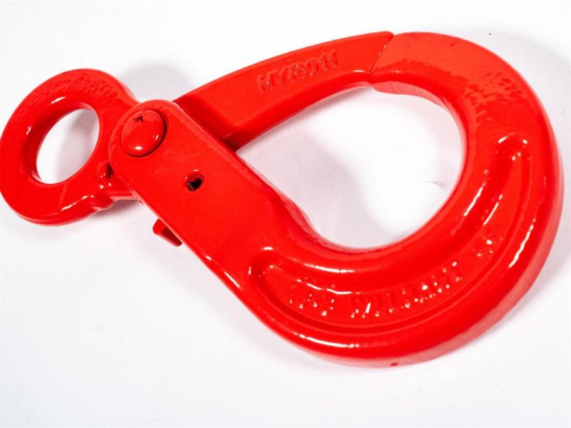 Factory Price! G80 Safety Alloy Steel European Eye Safety Hook