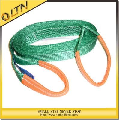 Best Sale Webbing Sling Type Nh-Ws-B/Sling/Lifting Belt Sling