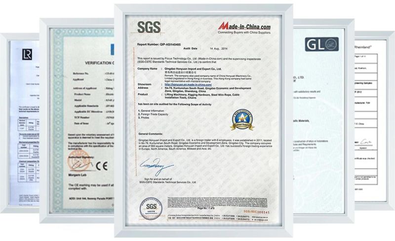 Polyester Webbing Sling, According to En1492-1, as 1353, ASME B30.9 Standard, CE, GS Approved.