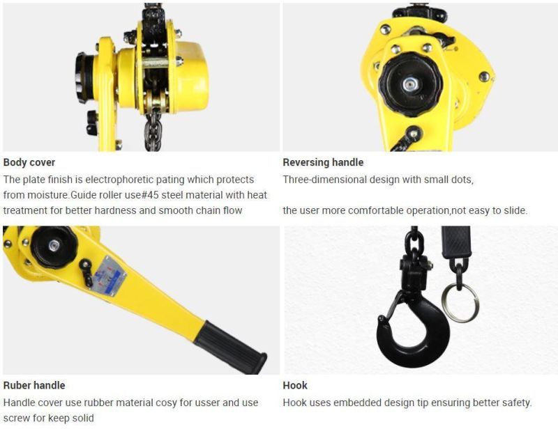 Dele Customized Hot-Selling Lifting Chain Handling Dragging High-Quality Manual Lever Hoist Vl-0.75t