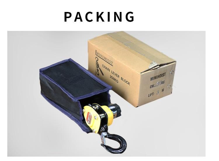 Exquisite Compact 0.5t Lever Pulley Hoist