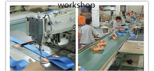 En1492-1 1-10ton Double Flat Eye to Eye Lifting Belt Factory Polyester Webbing Sling