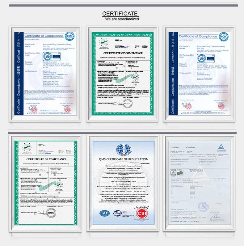 Manual Chain Hoist with Ce Certification