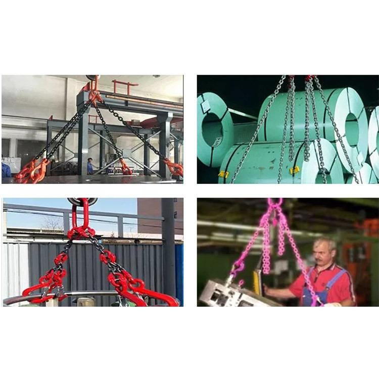 Wholesale Custom High Quality Heavy 2 Two Legs Crane Sling