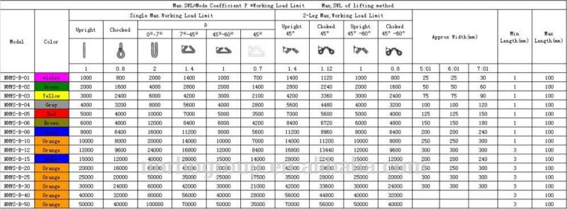 OEM or Customized Wll 3t Flat Webbing Sling (NHWS-B)