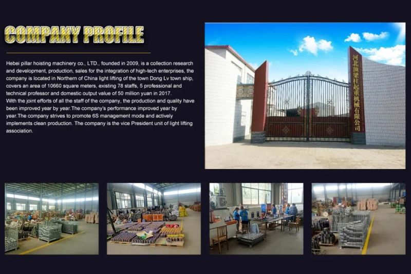 220V 500kg Lifting Crane Equipment Electric Swing Entertainment Stage Truss Motor Chain Hoist