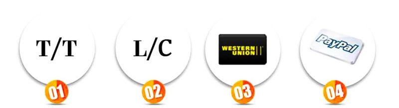 3ton Wireless Remote Electric Chain Hoist with Overload Cluch for Crane by CE Certificate