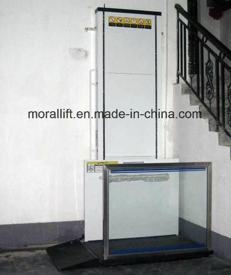 Hydraulic CE Certificated Handicapped Man Lift/Disabled Lift