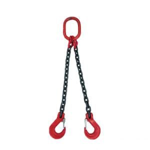 Alloy Steel 2/4 Legs Lifting Chain Riging/Rigging Chain Sling