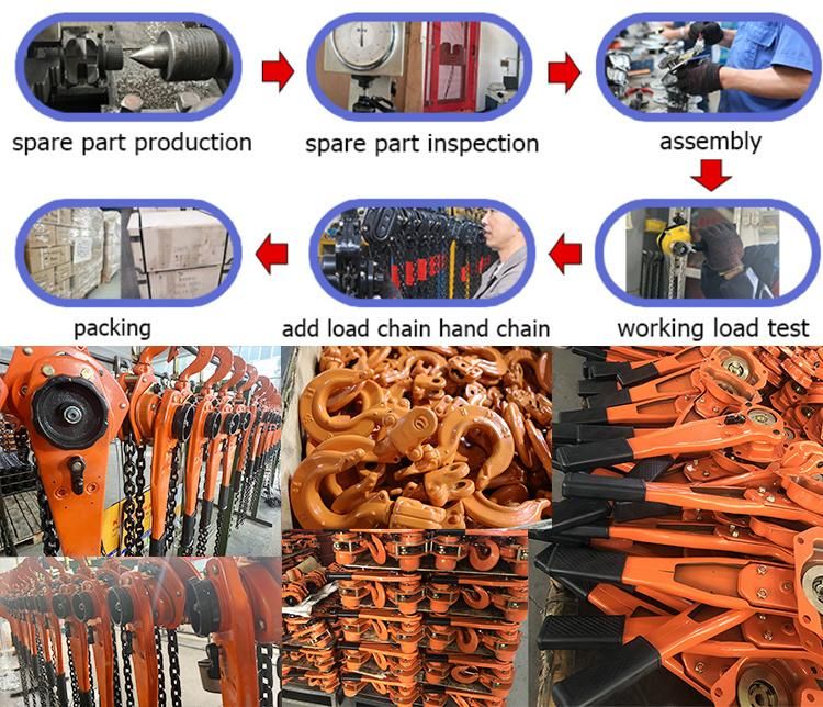 Dele Customized Hot-Selling Lifting Chain Handling Dragging High-Quality Manual Lever Hoist Vl-6t